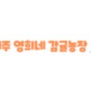 영희네 감귤농장