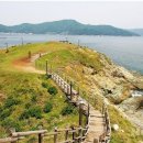바람의언덕 이미지
