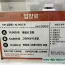 우주네 | [건대 고양이카페] -우주로캣 내돈내산 후기