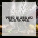 내몸살리는필라테스 이미지