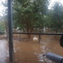 비안농장 이미지