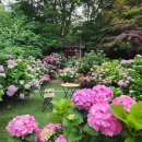 그늘막84 이미지