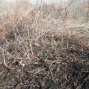 금주농장 이미지