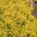 오성농원 이미지