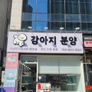 퍼피루미 옥정점 이미지