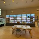 도그마루 강아지고양이 인천논현점 | 도그마루 강아지고양이 인천논현점에서 입양 후기