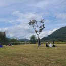 황산공원 농구장 | 10.9 황산공원 나들이 후기(10.9 기준 개화상황)