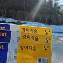 강아지 테마파크 이미지