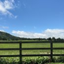 미남목장 이미지