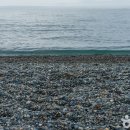 울산북구생활문화센터 화장실 | [울산 북구] 애니언파크(울산 반려동물 문화센터)