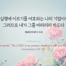 애가