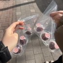 주정차112 | [경기/시흥/장곡] 리나케이크/딸기생크림케이크/두쫀쿠/수제케이크/제과점/내돈내산