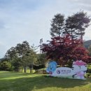 포천힐스VIP라운지 | 포천힐스CC VIP 라운딩후기.VIP 카트