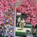 왕궁중학교 | 방콕 5박 7일 경비 비용 여자혼자 자유여행 일정공유