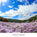 용추농원 이미지