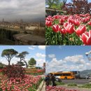 스텔라 민박 이미지