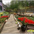 자연에 품 이미지