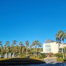 오르막가든중문 | 겨울 제주 3박 4일 태교여행 – 그랜드 조선 제주 1박 솔직 후기! (장·단점 위주)