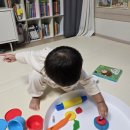 돌미로 | 리틀호안미로 곡물 클레이 | 두 돌 아기와 집콕 놀이 | 6개월 사용 후기