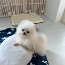 어서멍 이미지