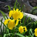 시골별장 이미지