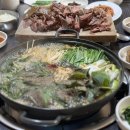 소나무집 이미지