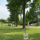 강변공원 화장실 이미지