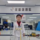 샛별태권도 | 샛별태권도 후기