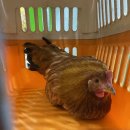 산성대로173번길 이미지