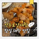 억수로 - 김해시 | 잠실 양대창 맛집 억수로 양대창 대창 곱 가득 찐맛집 후기