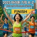 완주군 자치단체 | 2025 마라톤 행사 기획 A-Z: 참가자 만족부터 브랜드 홍보까지 완전정복