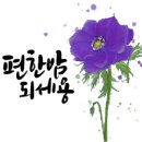 마음을 담은 붓펜 캘리그라피 이미지