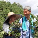 사람이랑 흙이랑 이미지