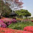 증산-013 이미지