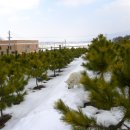 보광농원 이미지