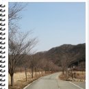 홍천밸리 이미지