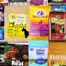 도그홀릭 이미지