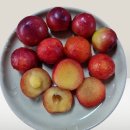 현곡2길 이미지