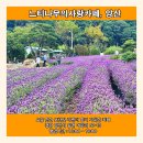 느티나무레스토랑 이미지