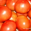 참푸른농장 이미지