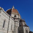 돌체민박 | 피렌체 한인민박 가성비 게스트하우스 추천: 피렌체 숙소 위치 꿀팁 (+7월 할인코드)