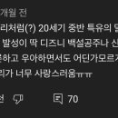 세기광고 이미지