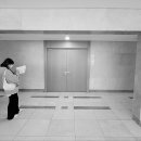 중앙동135 이미지