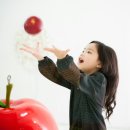 엘가스튜디오