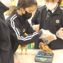 파평중학교 이미지