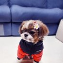 일진세탁 이미지