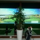 노은골프아카데미 이미지