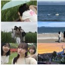 과역초등학교 | 24.06.27~29 | 전남 효도 관광