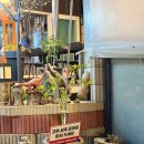 여우골정원 이미지