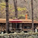 달둔소낭펜션 이미지